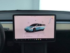 Tesla Model 3 2022 Rear-Wheel Drive - ფოტო 13