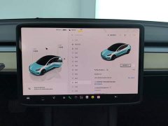 Tesla Model 3 2022 Rear-Wheel Drive - ფოტო 14