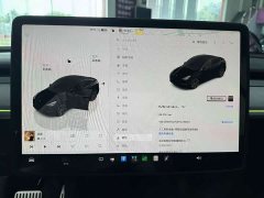 Tesla Model Y Rear-Wheel Drive - ფოტო 15