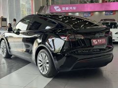 Tesla Model Y Rear-Wheel Drive - ფოტო 5