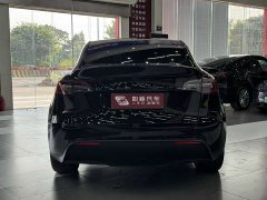 Tesla Model Y Rear-Wheel Drive - ფოტო 6