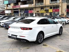 Geely Xingrui 1.5T Diesel Fuyao Edition - ფოტო 13