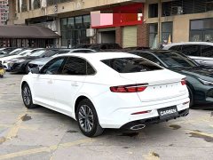 Geely Xingrui 1.5T Diesel Fuyao Edition - ფოტო 15