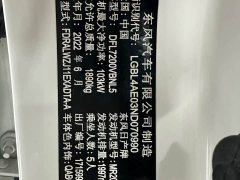 Nissan Qashqai 2.0L CVT XV Premium Luxury - ფოტო 20