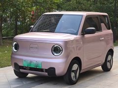 Geely Panda Mini 200km Endurance Edition - ფოტო 1