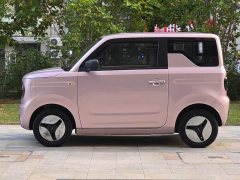 Geely Panda Mini 200km Endurance Edition - ფოტო 2