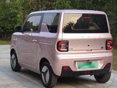 Geely Panda Mini 200km Endurance Edition - ფოტო 3