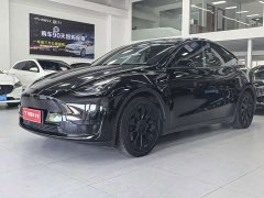 Tesla Model Y Rear-Wheel Drive - ფოტო 1