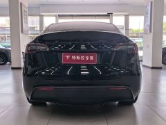 Tesla Model Y Rear-Wheel Drive - ფოტო 16