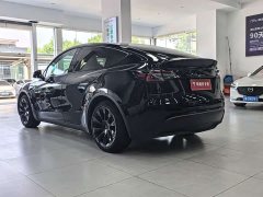 Tesla Model Y Rear-Wheel Drive - ფოტო 17