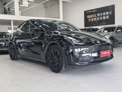 Tesla Model Y Rear-Wheel Drive - ფოტო 3