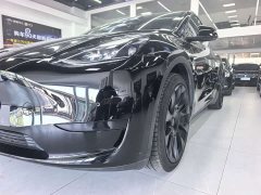 Tesla Model Y Rear-Wheel Drive - ფოტო 4