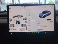 Tesla Model Y Rear-Wheel Drive - ფოტო 9