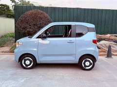 Wuling Hongguang MINIEV Zizai Trim Ternary Lithium Battery - ფოტო 8