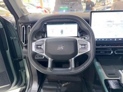 Jetour Jietu Liberator 2.0TD XWD Conquest - ფოტო 16