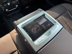 BMW 5 Series 530Li Luxury Edition Premium Package - ფოტო 11