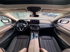 BMW 5 Series 530Li Luxury Edition Premium Package - ფოტო 16