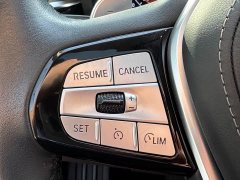 BMW 5 Series 530Li Luxury Edition Premium Package - ფოტო 8