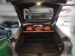 Nio Lerado L60 2024 60kWh Rear-Wheel Drive - ფოტო 15