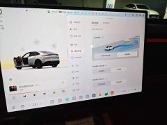 Nio Lerado L60 2024 60kWh Rear-Wheel Drive - ფოტო 20
