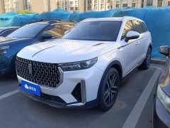 FAW Besturn T99 20TD Deluxe Version - ფოტო 1