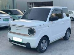 Geely Panda Mini 200km Endurance Edition - ფოტო 1