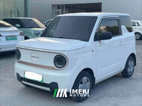 2024 Geely Panda Mini 200km Endurance Edition - ავტომობილი ჩინეთიდან