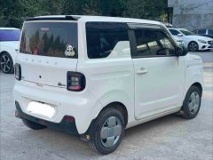Geely Panda Mini 200km Endurance Edition - ფოტო 3