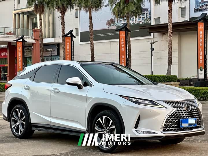 Lexus RX 2021 300 AWD Special Edition - ავტომობილი ჩინეთიდან