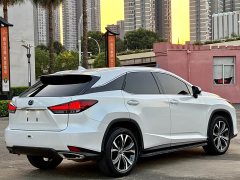 Lexus RX 2021 300 AWD Special Edition - ფოტო 7