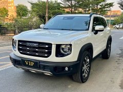 Great Wall Dachshund 1.5T DCT Two-Wheel Drive Border Collie Edition - ფოტო 1