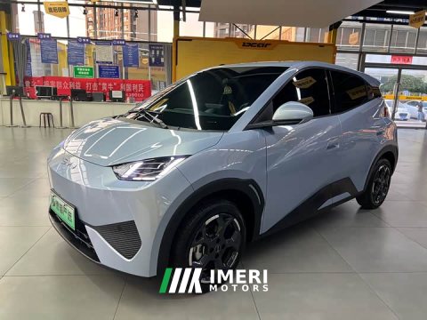 2025 BYD Seagull Smart Drive 405km Freedom Edition - ავტომობილი ჩინეთიდან