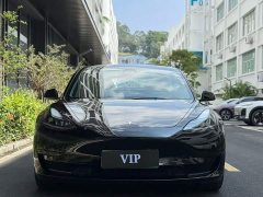 Tesla Model 3 Rear-Wheel Drive - ფოტო 2