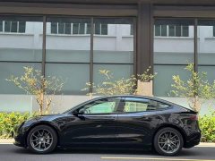 Tesla Model 3 Rear-Wheel Drive - ფოტო 3