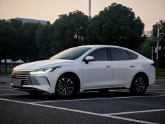 BYD Destroyer 05 Glory Edition DM-i 55KM Luxury - ფოტო 1
