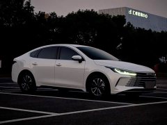 BYD Destroyer 05 Glory Edition DM-i 55KM Luxury - ფოტო 3