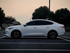 BYD Destroyer 05 Glory Edition DM-i 55KM Luxury - ფოტო 4