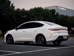 BYD Destroyer 05 Glory Edition DM-i 55KM Luxury - ფოტო 6