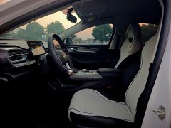 BYD Destroyer 05 Glory Edition DM-i 55KM Luxury - ფოტო 9