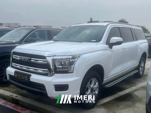 2024 Haval H5 2025 2.0T Automatic 4WD Navigator Diesel - ავტომობილი ჩინეთიდან