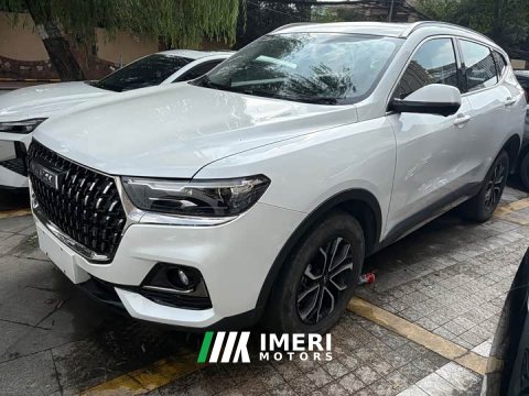 2024 Haval H6 2023 National Trend Edition 1.5T Automatic Urban Version - ავტომობილი ჩინეთიდან
