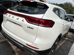 Haval H6 2023 National Trend Edition 1.5T Automatic Urban Version - ფოტო 15