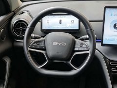 BYD Sealion 05 DM-i 2025 DM-i 115KM Flagship - ფოტო 12