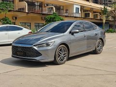 BYD Qin Plus 2021 DM-i 55KM Flagship - ფოტო 1