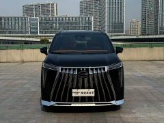 GAC Trumpchi M8 HEV Prestige Edition - ფოტო 2