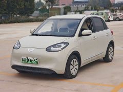 Wuling Binguo 333km Joy Edition - ფოტო 1