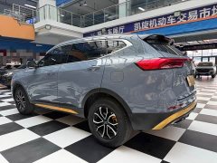 Haval H6 2021 National Trend Edition 1.5T Automatic Urban Version - ფოტო 6