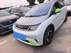 BYD Dolphin 405km Fashion Edition - ფოტო 1