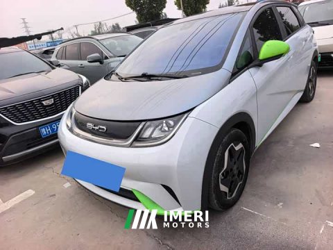 2022 BYD Dolphin 405km Fashion Edition - ავტომობილი ჩინეთიდან