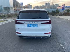 Hyundai Cosworth 2024 270TGDi LUX Prestige Edition - ფოტო 7